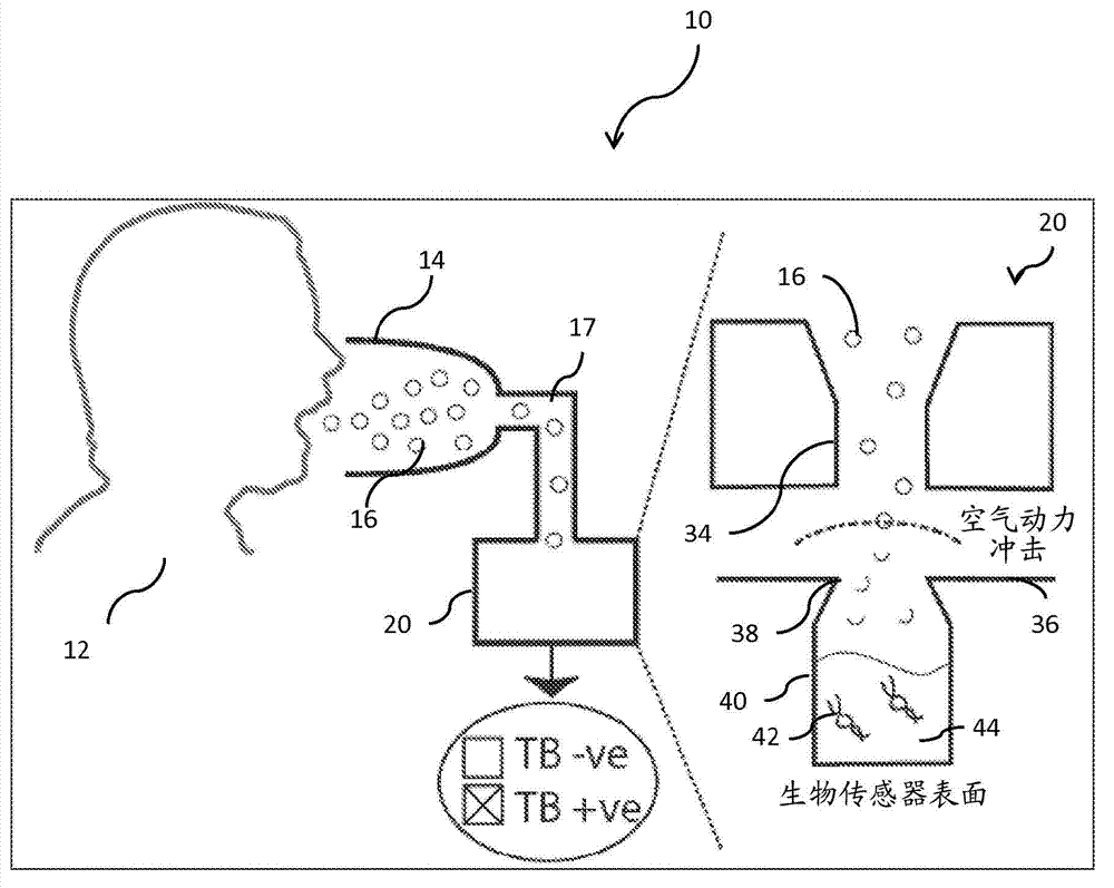 System for airborne bacterial sample collection and analysis