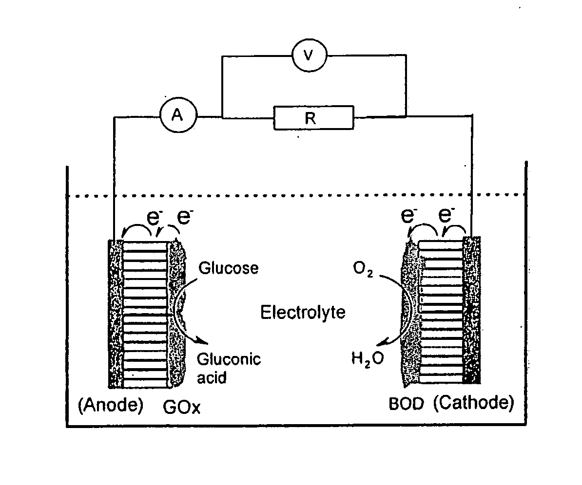 Integrated biofuel cell with aligned nanotube electrodes and method of use thereof