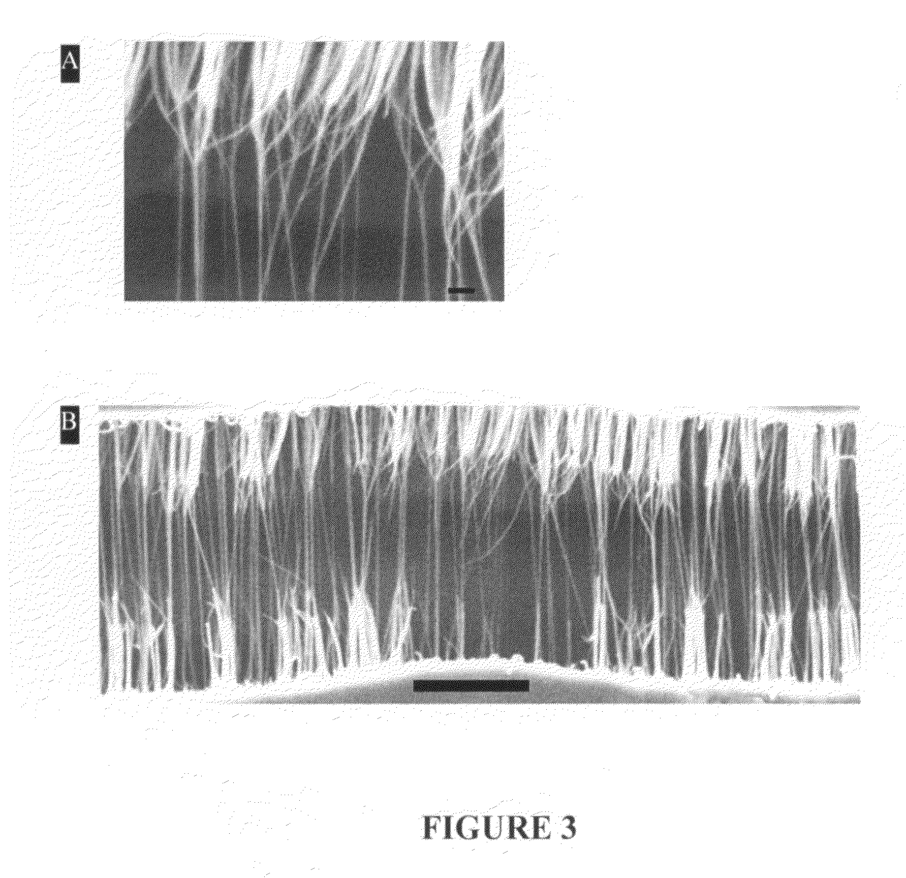 Integrated biofuel cell with aligned nanotube electrodes and method of use thereof