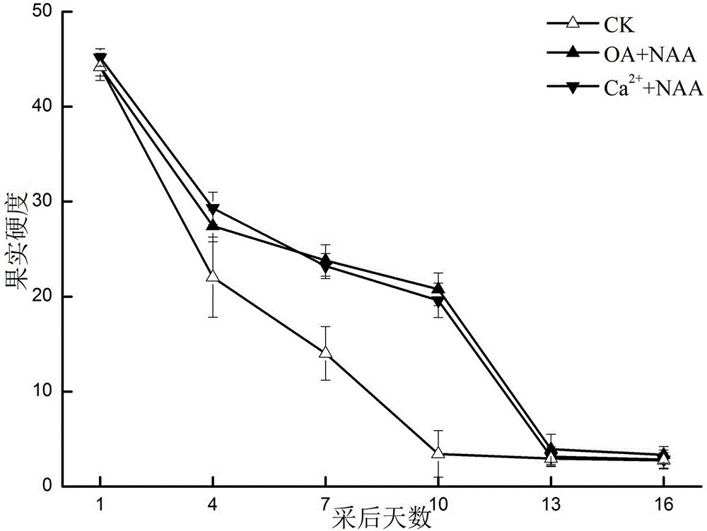 Kiwi fruit preservative and using method thereof