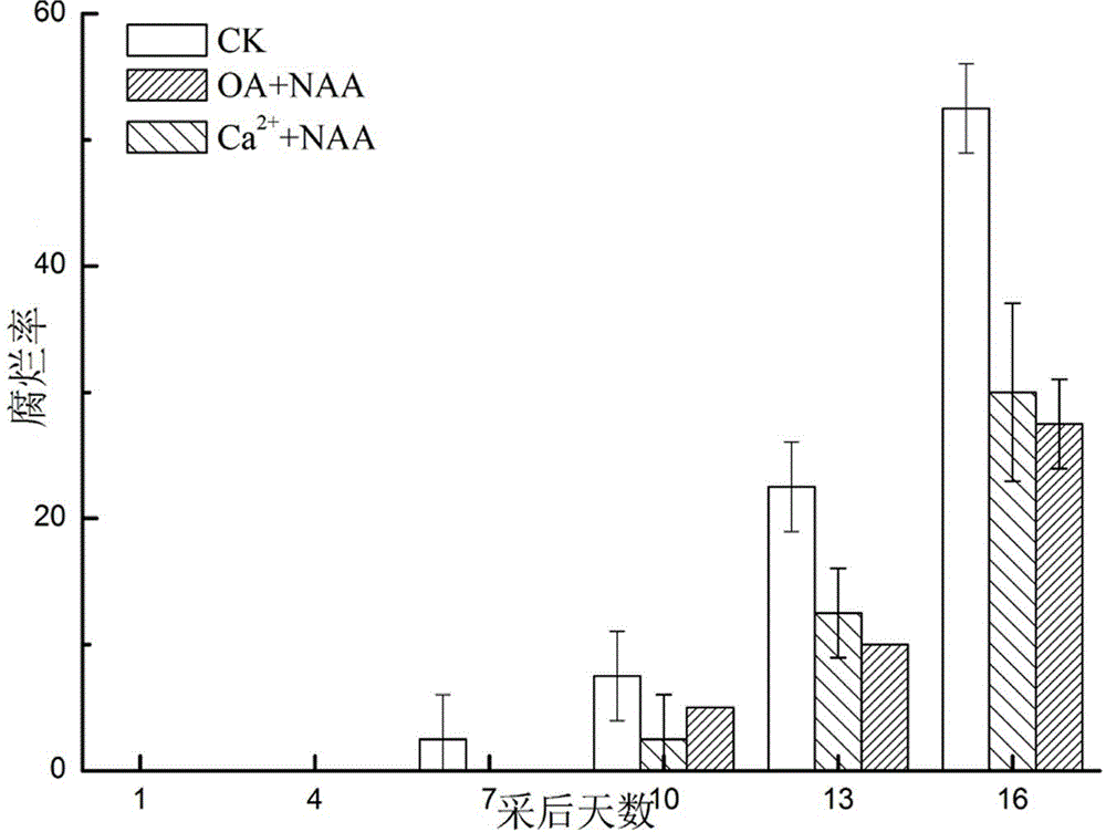 Kiwi fruit preservative and using method thereof