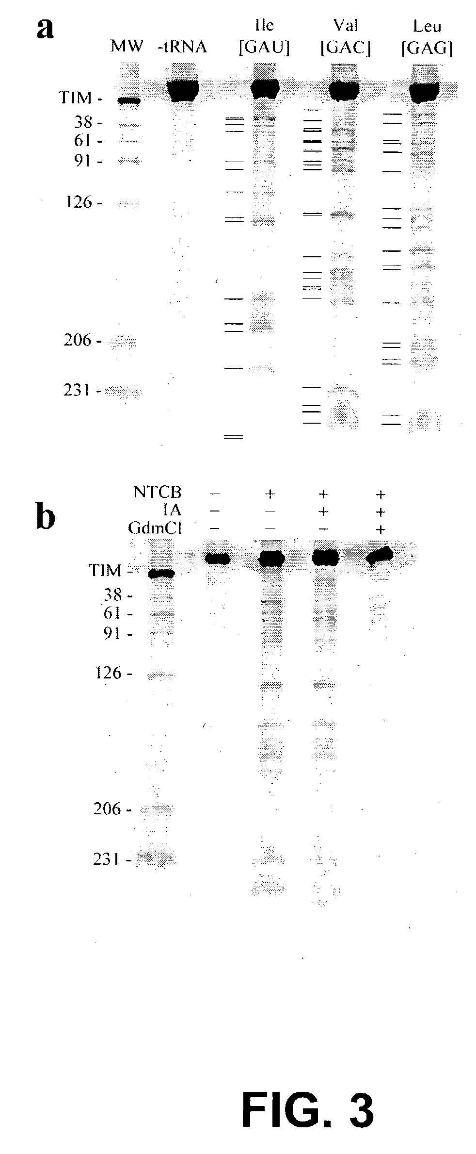 Methods for structural analysis of proteins