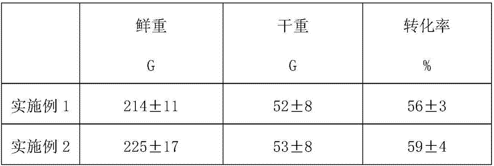 Planting method capable of improving quality of lucid ganoderma