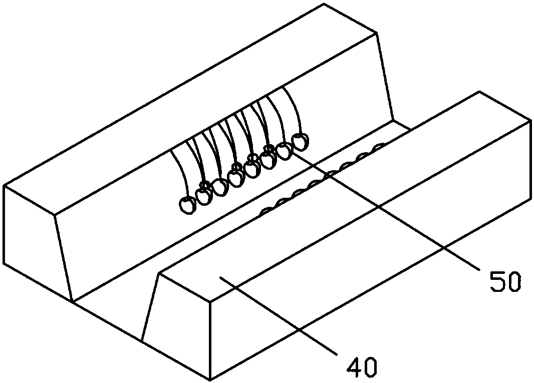 Assistant strawberry picking device