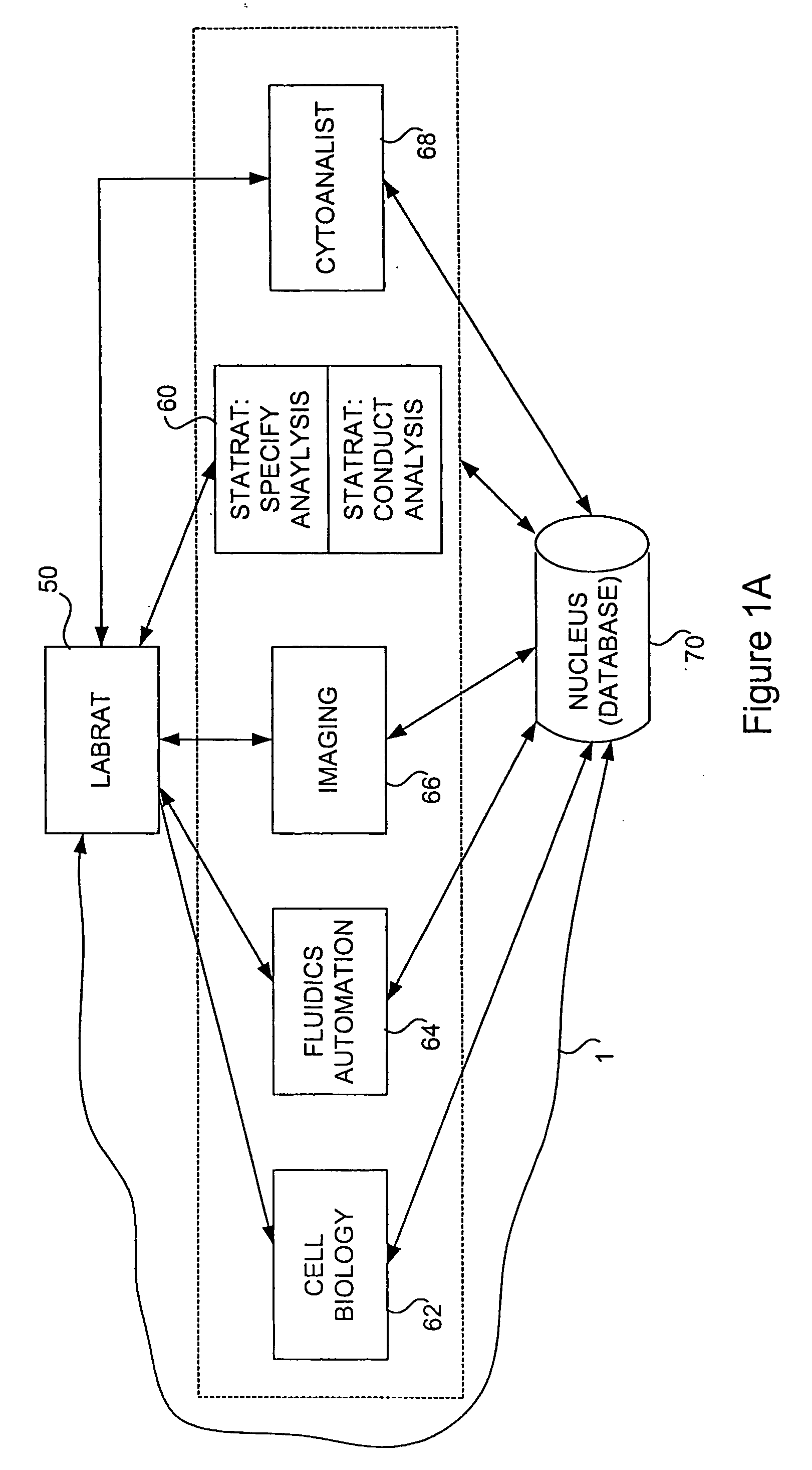 Method and apparatus for automated cellular bioinformatics