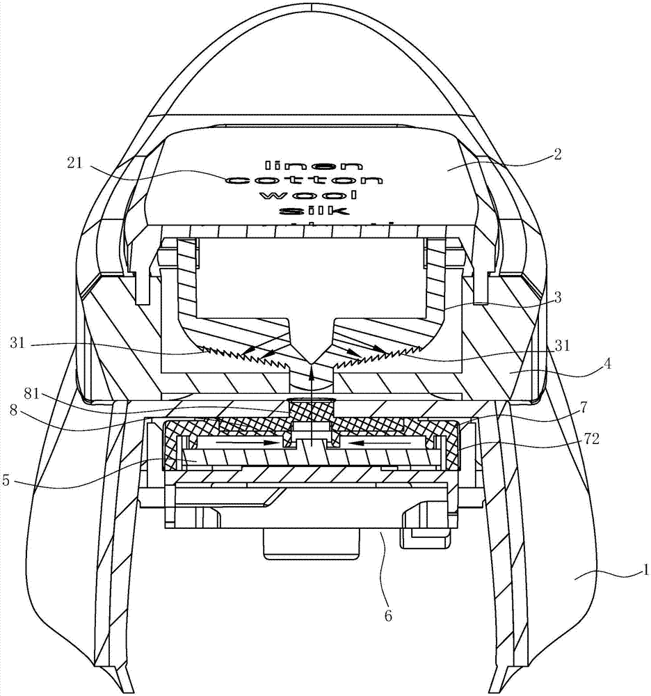 Electric iron logo display structure