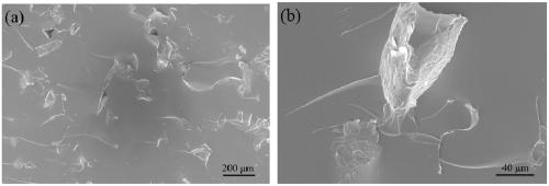 Method for preparing three-dimensional graphene microstructure filler modified polymer composite