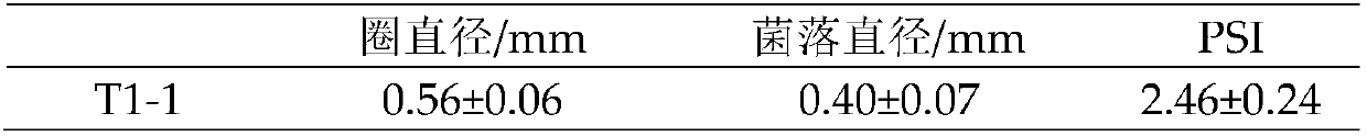 Paenibacillus strain T1-1 with phosphorus-dissolving effect and application thereof