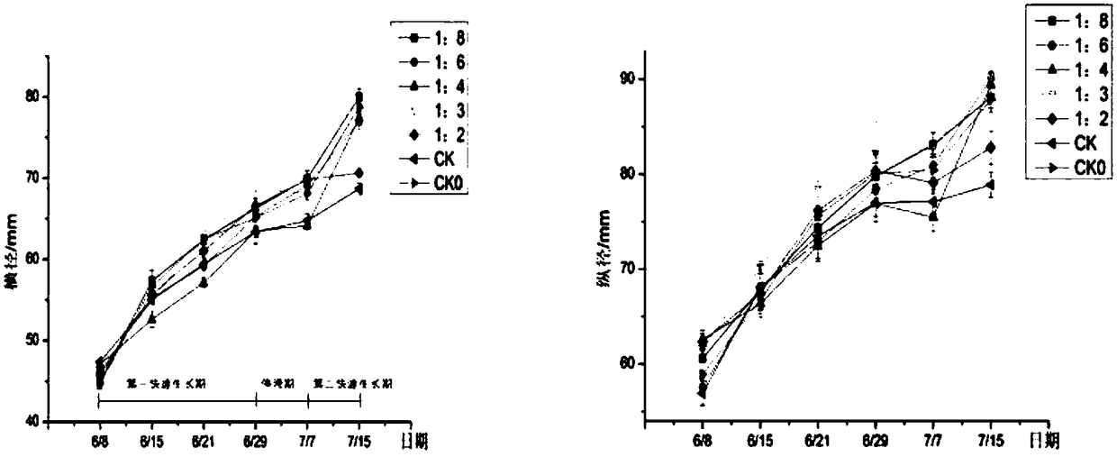 Light complement system for pitaya growth and plant growth lamp used by system