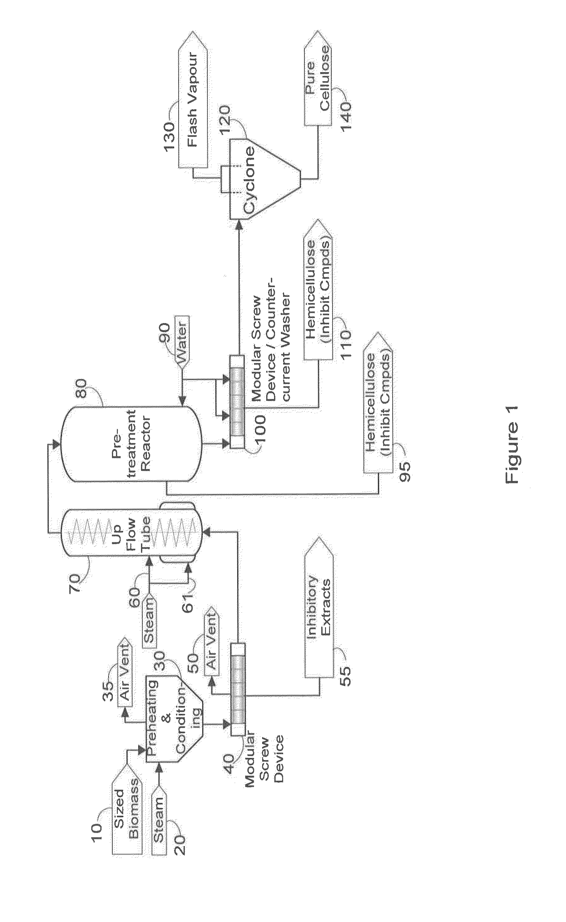 Bagasse fractionation for cellulosic ethanol and chemical production