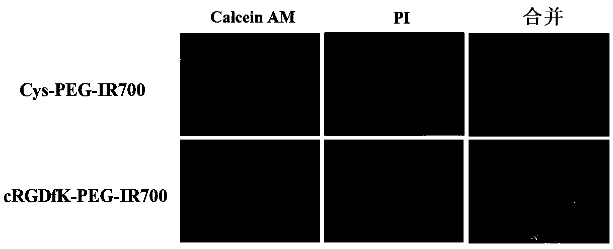 Nanometer drug delivering system capable of realizing high tumor permeability and preparation method