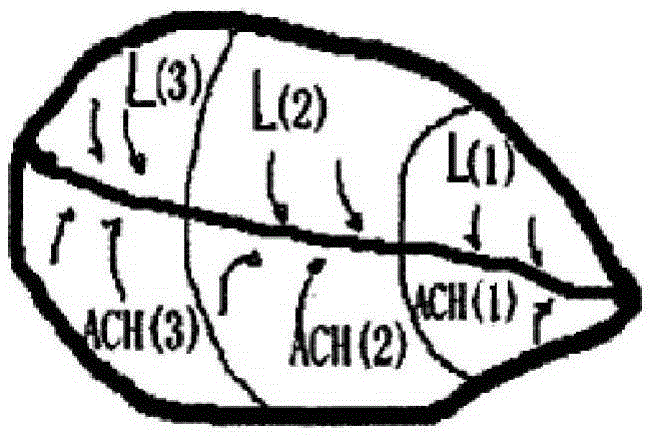 Linear Reservoir Detention Confluence and Nested Watershed (Multi-sub-basin) Confluence Method