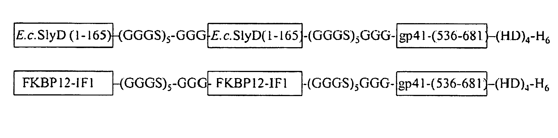 Chimeric fusion protein