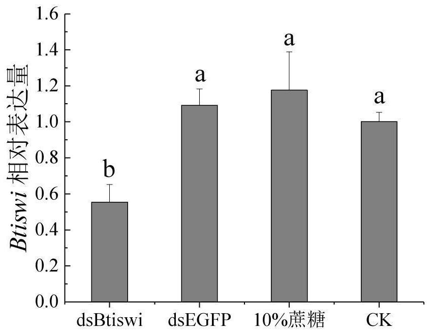 Chromatin remodeling factor ISWI, coding gene and effect in temperature tolerance of bemisia tabaci MED cryptic species