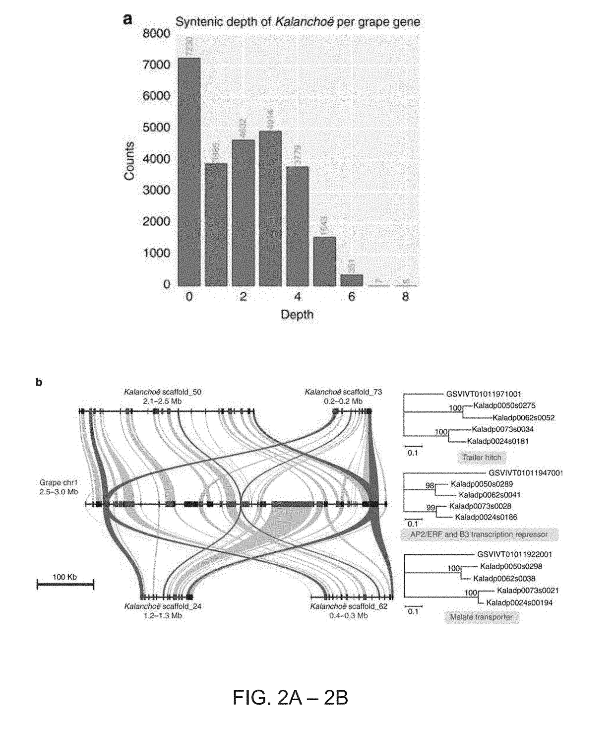 Genes for enhancing drought and heat tolerance in plants and methods of use