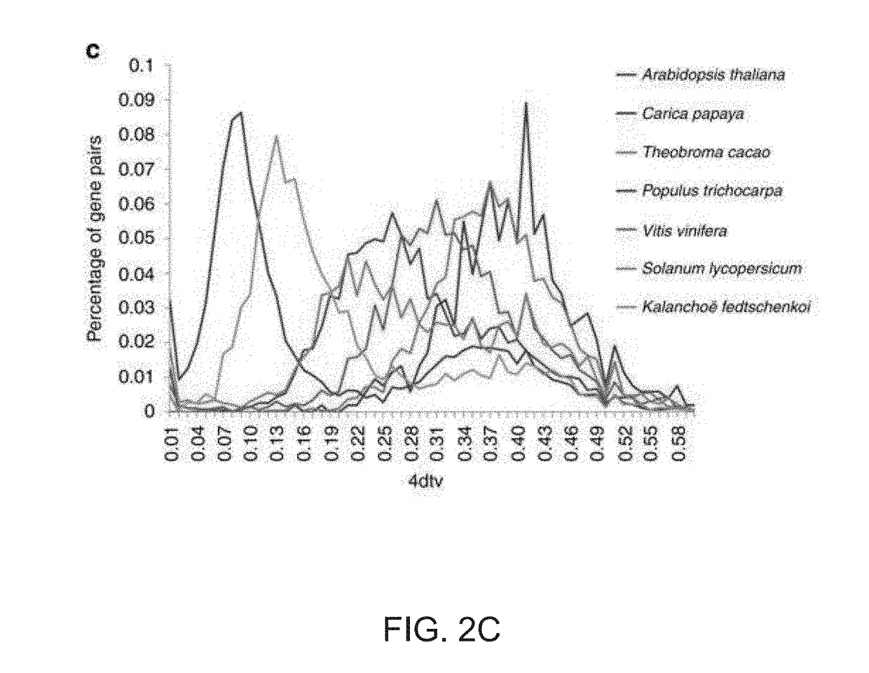 Genes for enhancing drought and heat tolerance in plants and methods of use