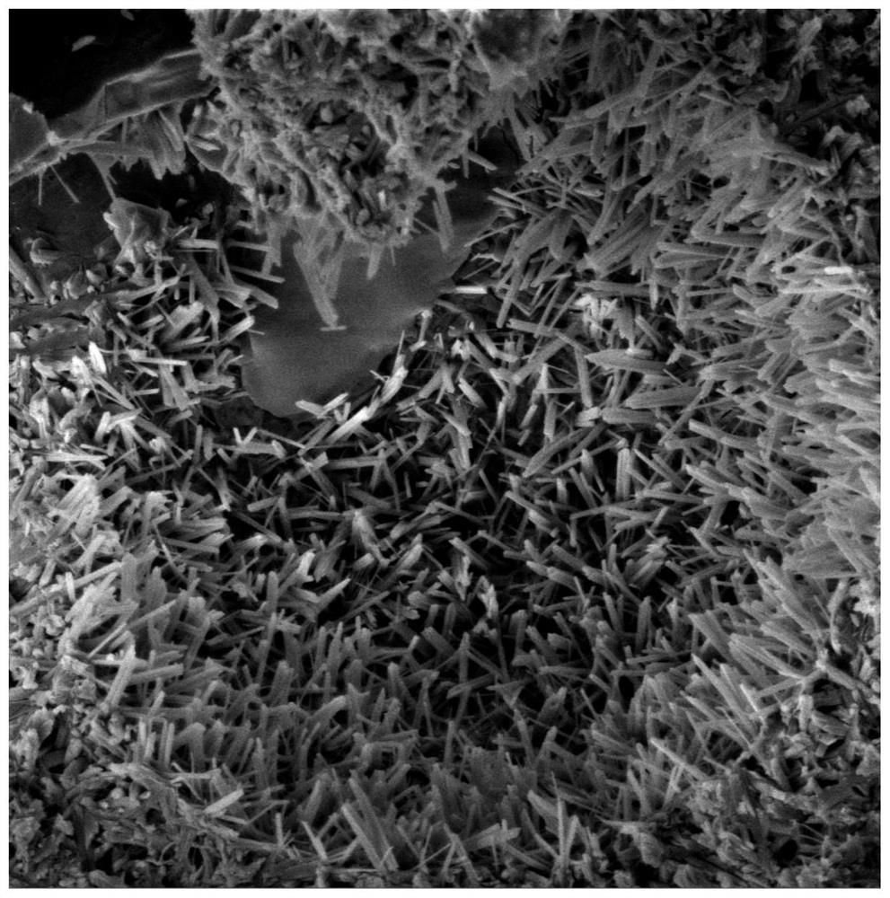 Natural rubber emulsion modified bamboo particle/magnesium oxychloride composite material and preparation method thereof