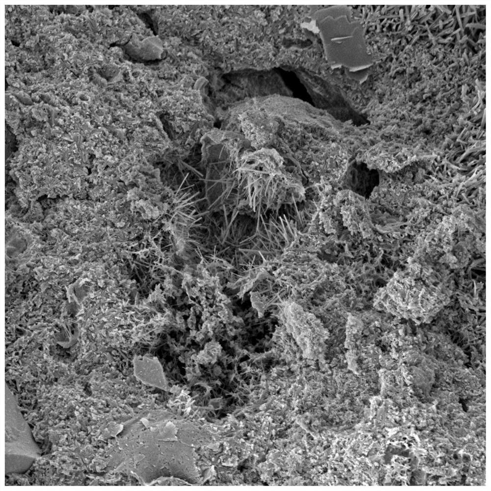 Natural rubber emulsion modified bamboo particle/magnesium oxychloride composite material and preparation method thereof