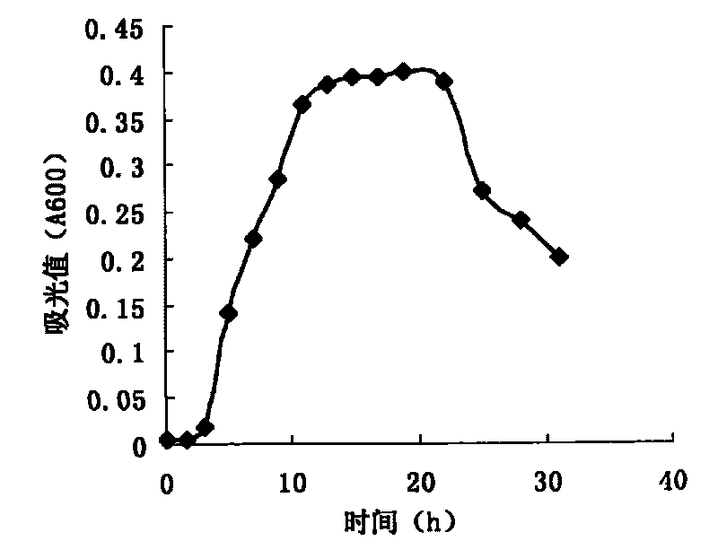 Biodegradation test method of synthetic oil and vegetable oil-based lubricating oil product