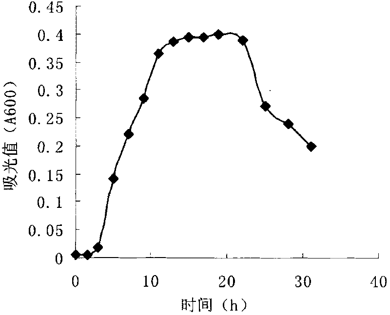 Biodegradation test method of synthetic oil and vegetable oil-based lubricating oil product