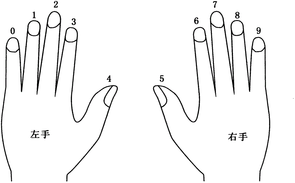 Fingerprint sequential composition password authentification system