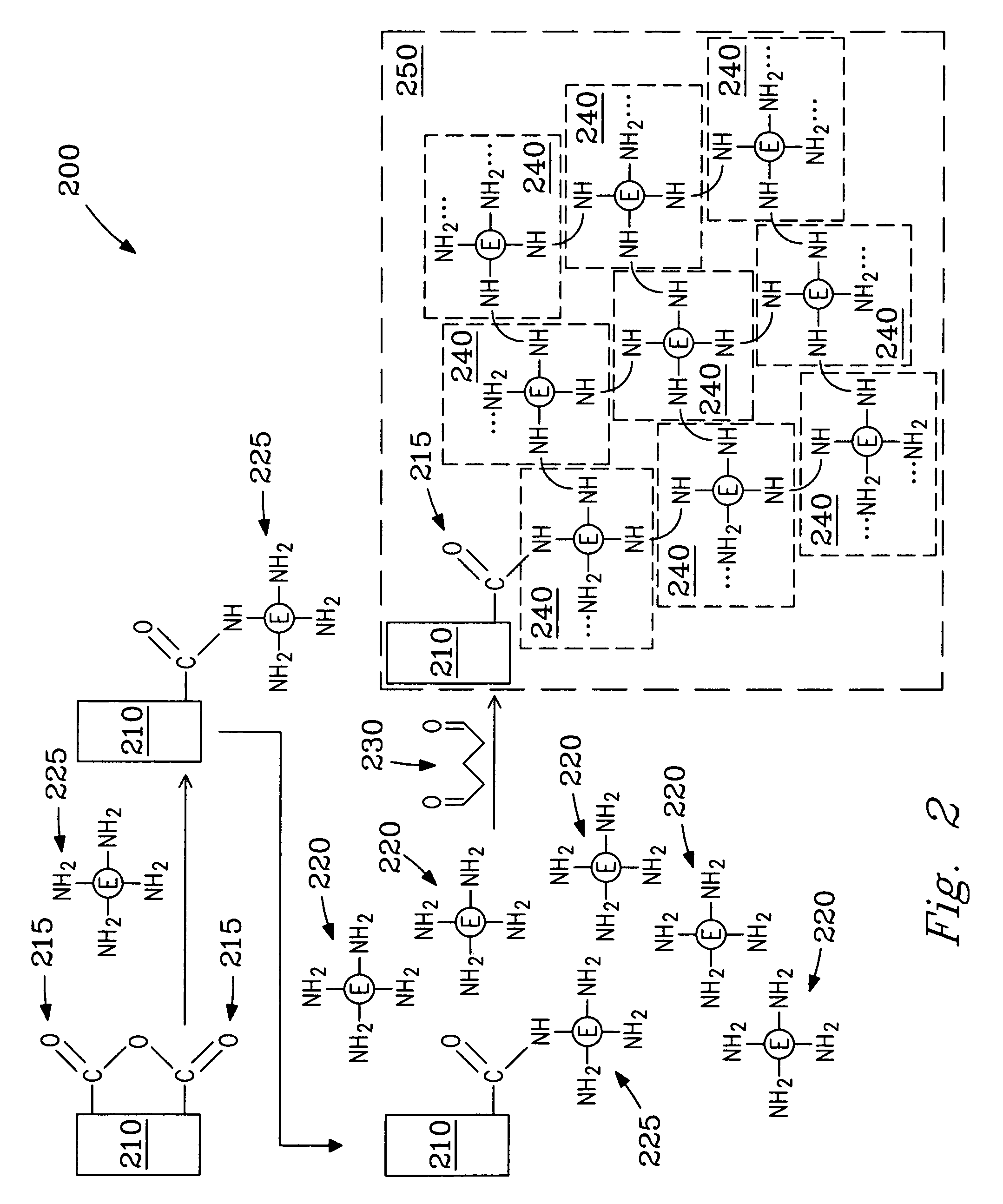 Process for preparing multilayer enzyme coating on a fiber