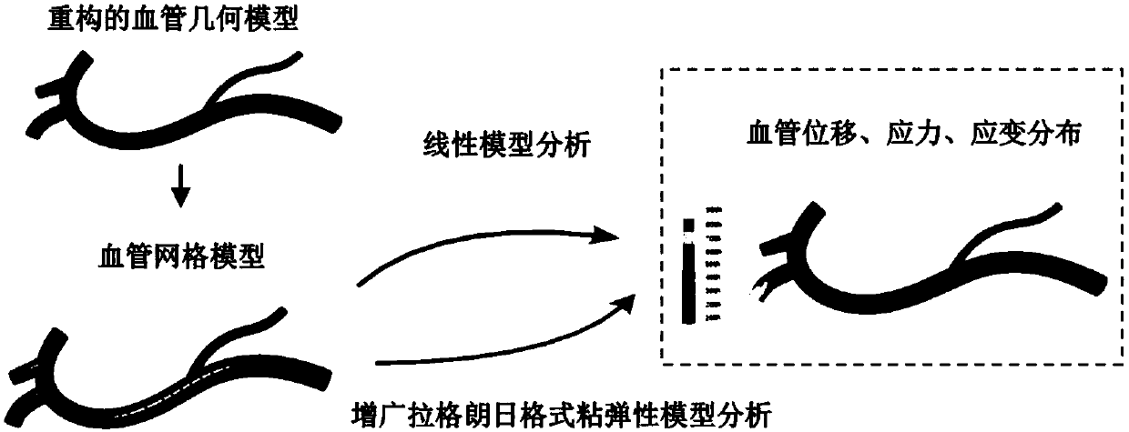 Method for constructing hybrid finite element deformation model for gastric cancer endoscopic surgery real-time navigation system