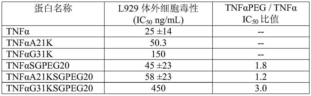 Conjugate of polyethylene glycol and tumor necrosis factor alpha or analogue of polyethylene glycol and tumor necrosis factor alpha and medical application of conjugate