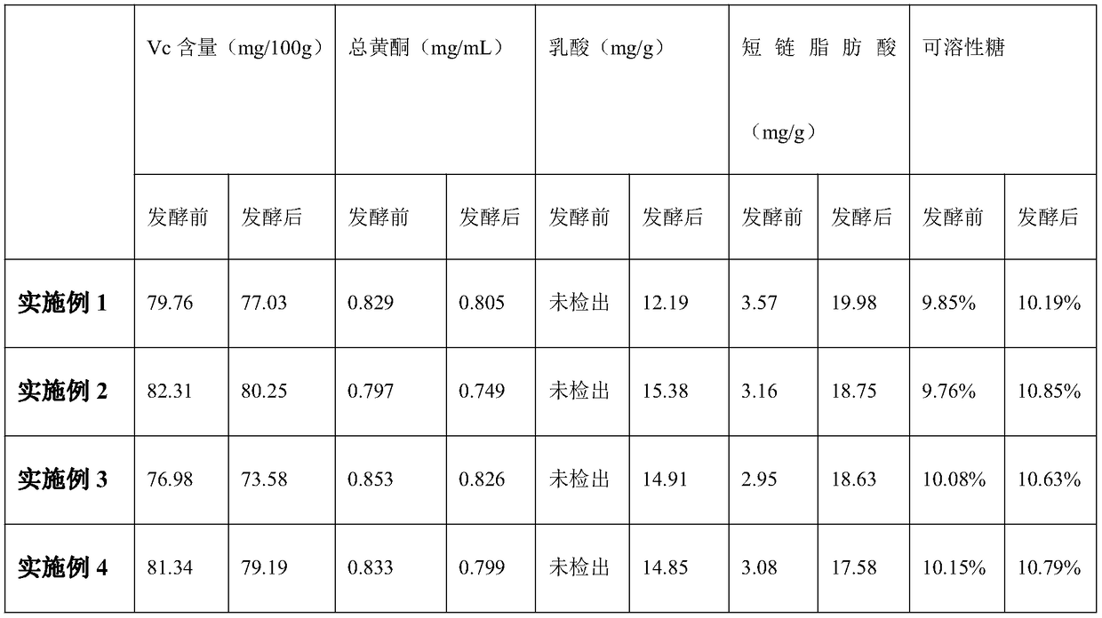 Fermented haw pulp and preparation method