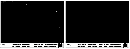 Preparation method and application of sucrose carbonization modified carbon fiber