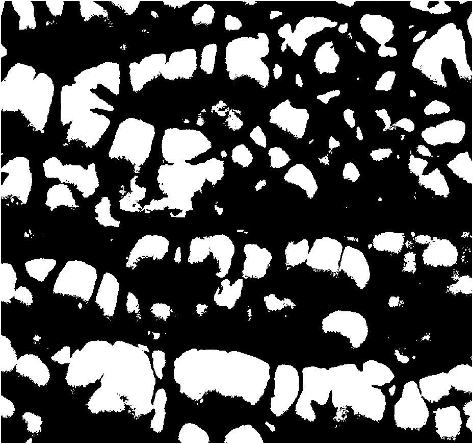 Superficial treatment method of printed wiring board