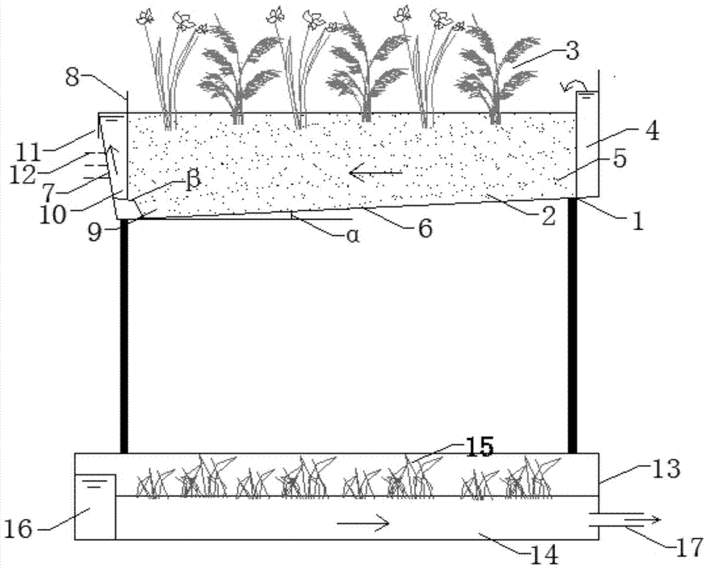 Thin plant packed bed and hydroponic plant bed superimposed wetland processing sewage system