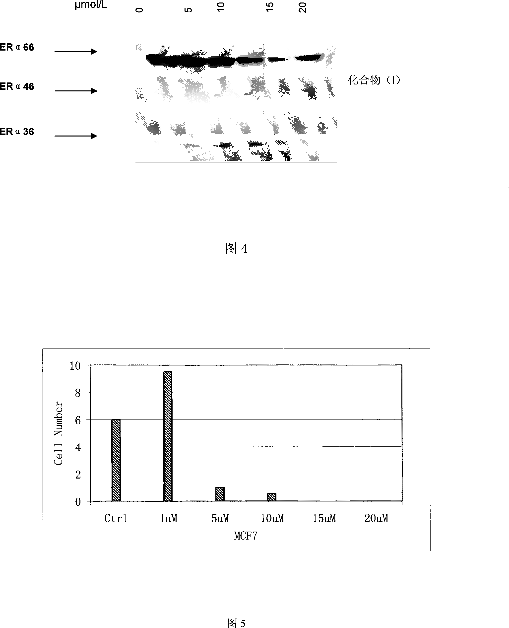 Function of 2',2'-CH3-2'H,4H-3,6'-two benzopyran-4-ketone