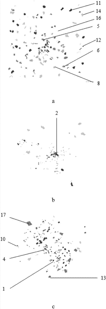 Multi-source remote sensing image surface object classification method based on double-channel convolution step network