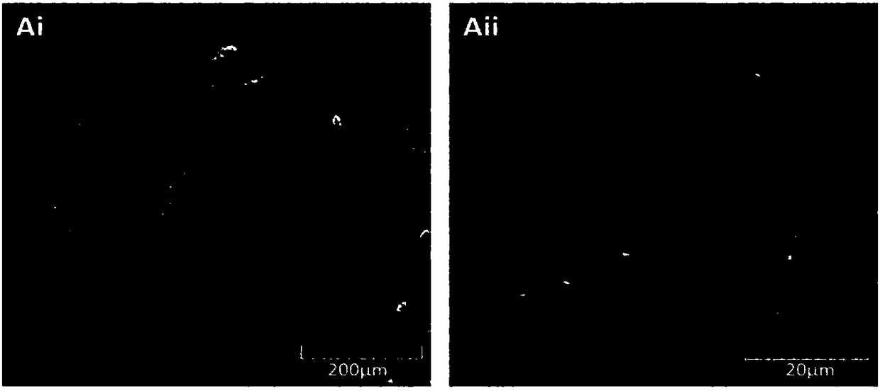 Application and preparation method of pure magnesium/coating composite