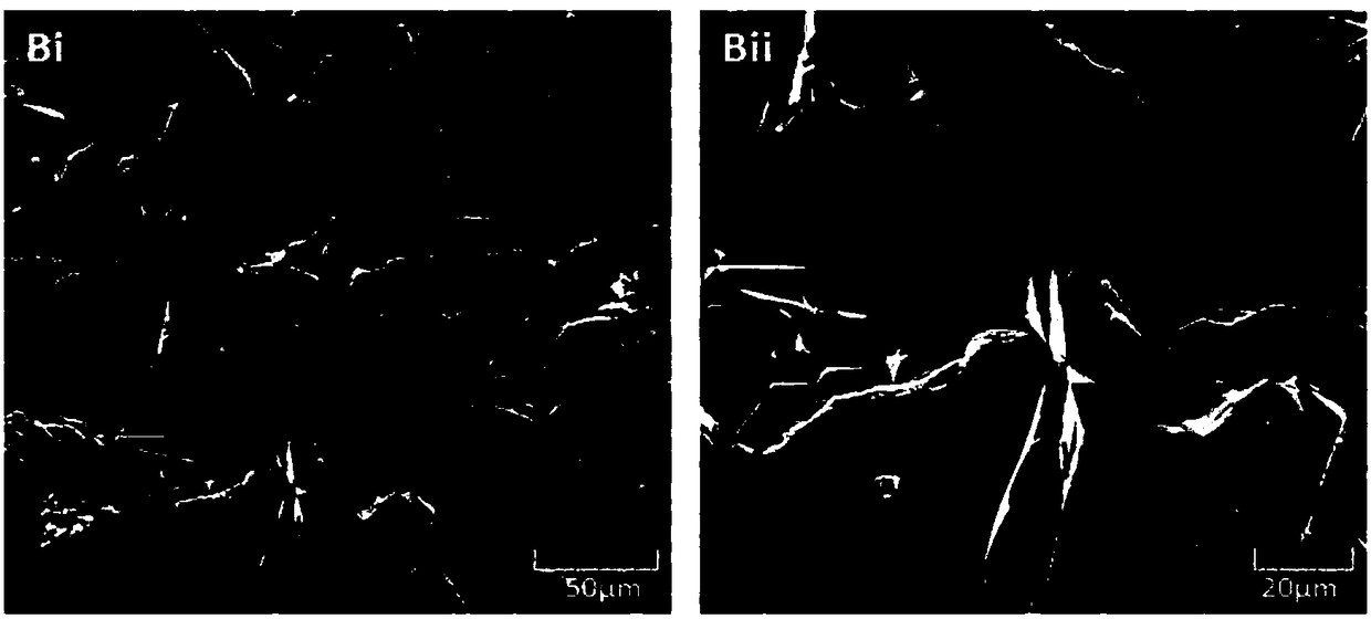 Application and preparation method of pure magnesium/coating composite