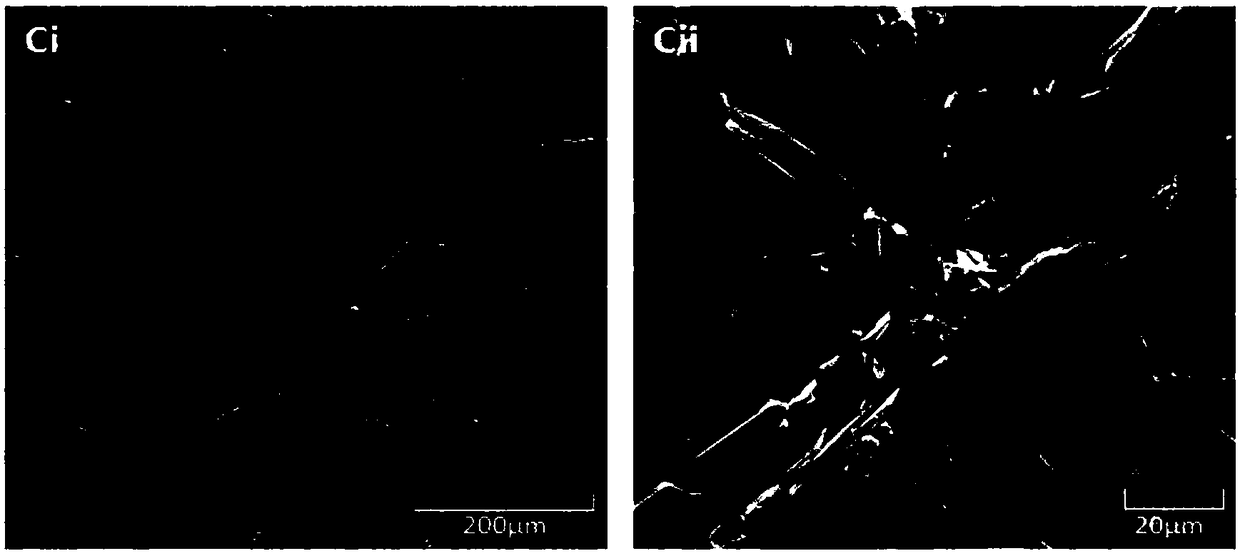 Application and preparation method of pure magnesium/coating composite