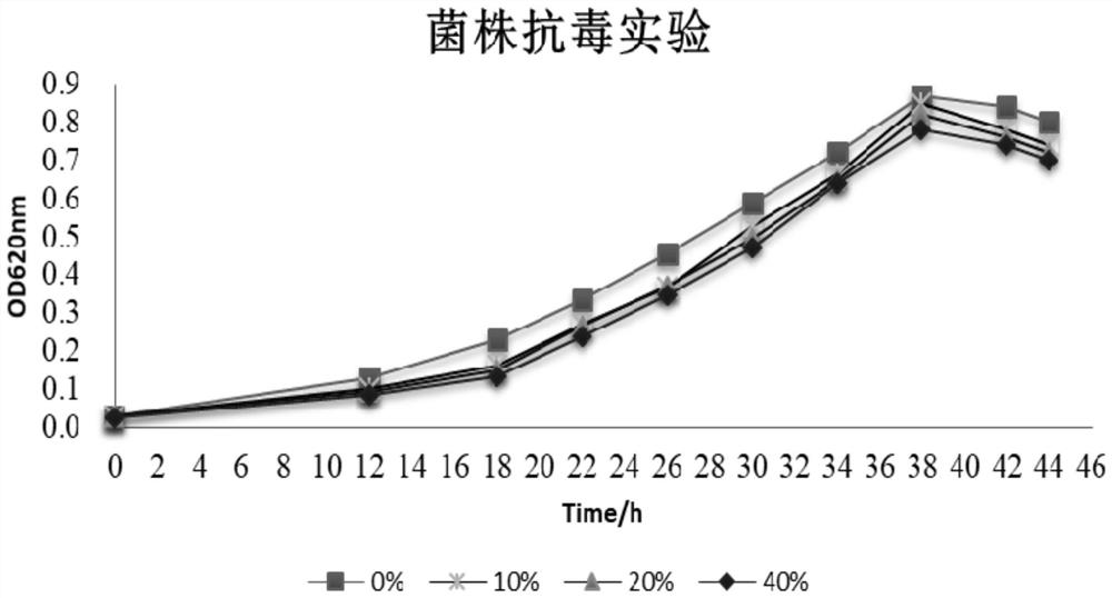 Strain for producing long-chain dicarboxylic acid and fermentation method of strain