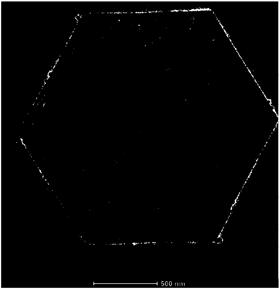 Polylactic acid antibacterial thin film and preparation method thereof