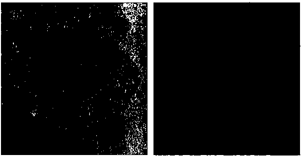 A method of firing photochromic Jun porcelain under oxidative atmosphere conditions