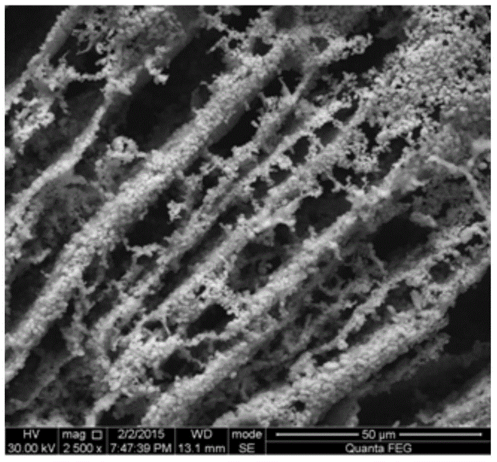 Preparation method for microwave dielectric ceramic/resin bicontinuous composite material for PCB substrate