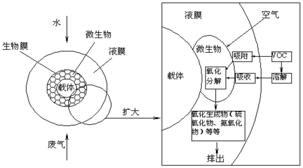 A kind of biological filter deodorization system and method for treating peculiar smell