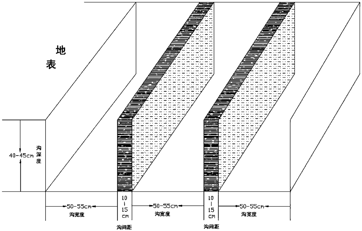 Straw double-layer salt control and surface ice plant desalination saline-alkali land composite improvement method