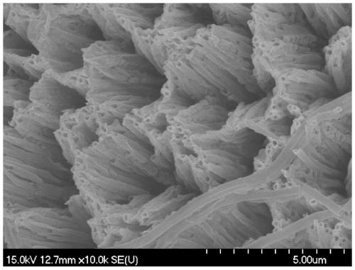 Method for preparing magnetic metal nanotubes by controlling electrodeposition conditions