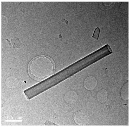 Method for preparing magnetic metal nanotubes by controlling electrodeposition conditions