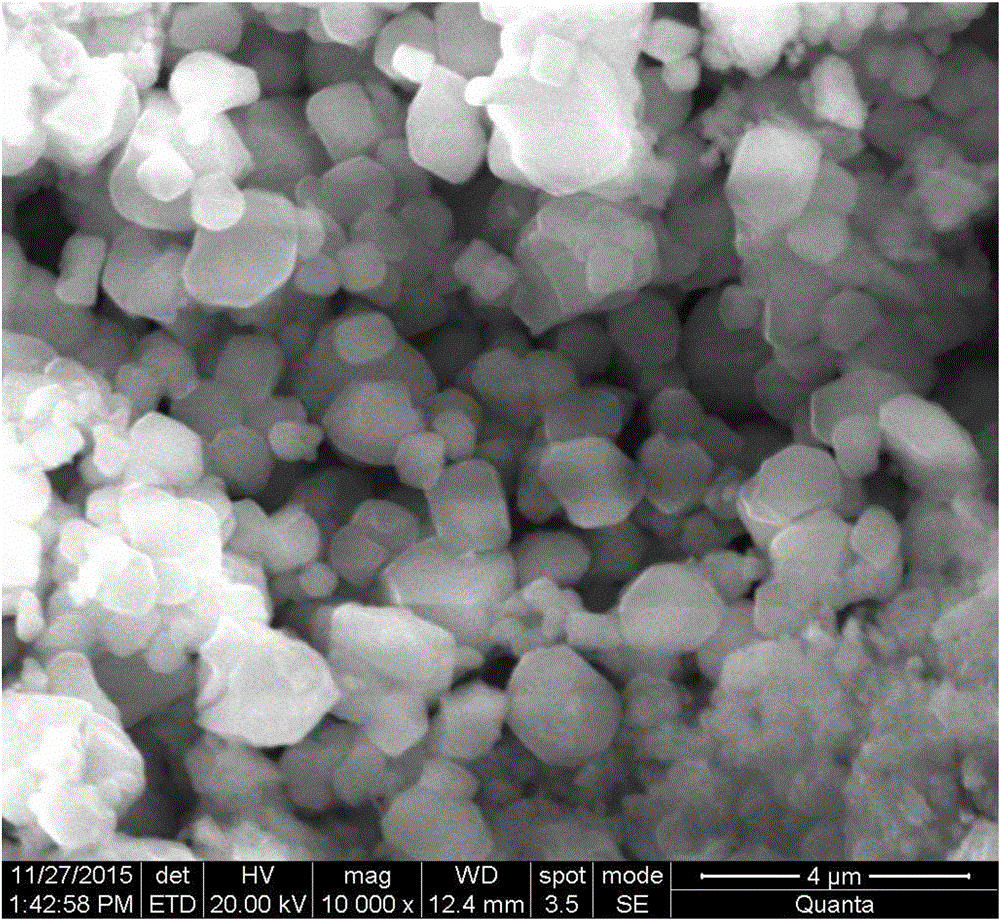 Biological ferrous sulfide and uranium-polluted underground water treatment permeation reaction wall based on same