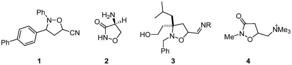 Synthesis method of polysubstituted isoxazolidine