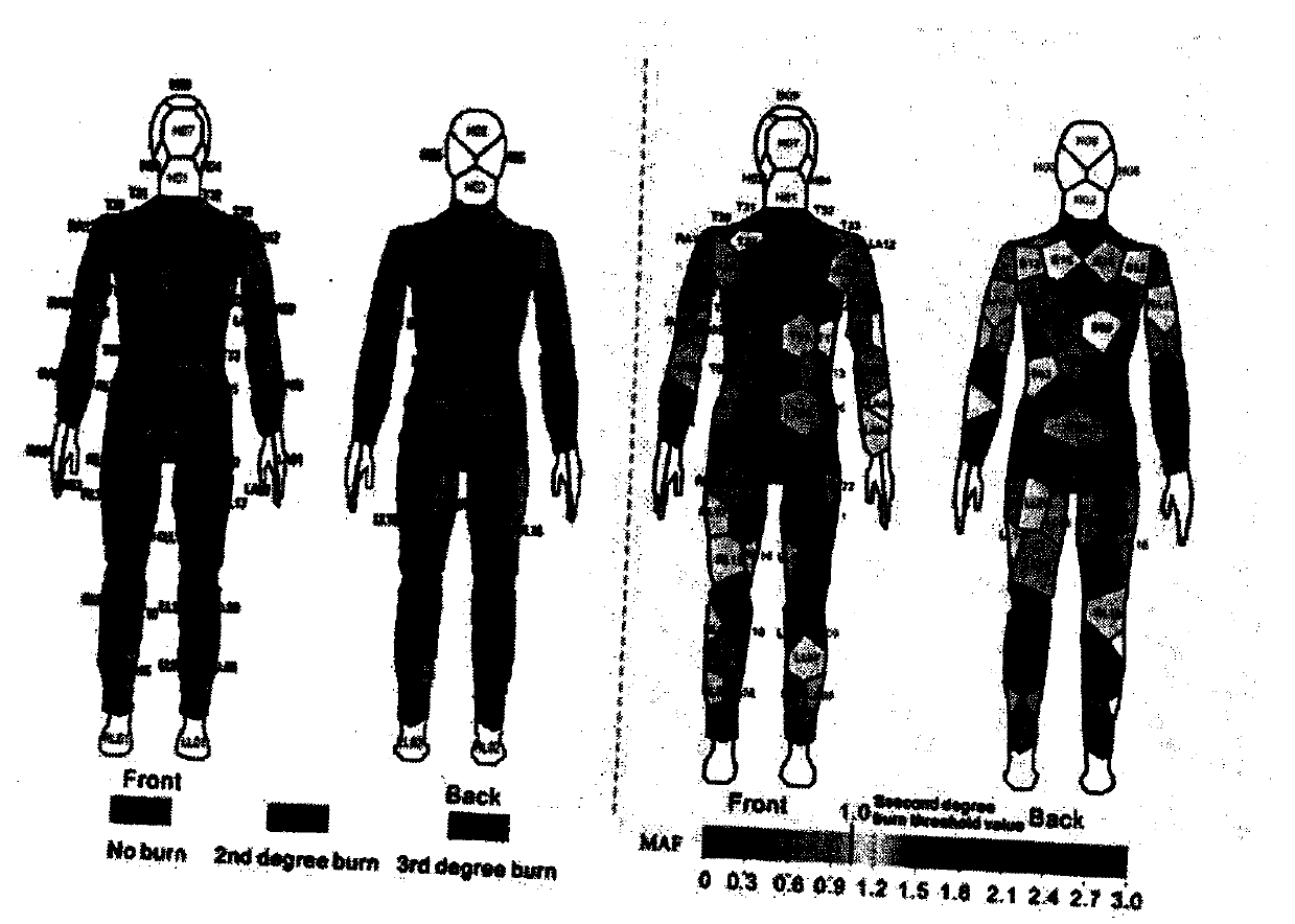 Evaluation method for thermal protection level of protective clothing