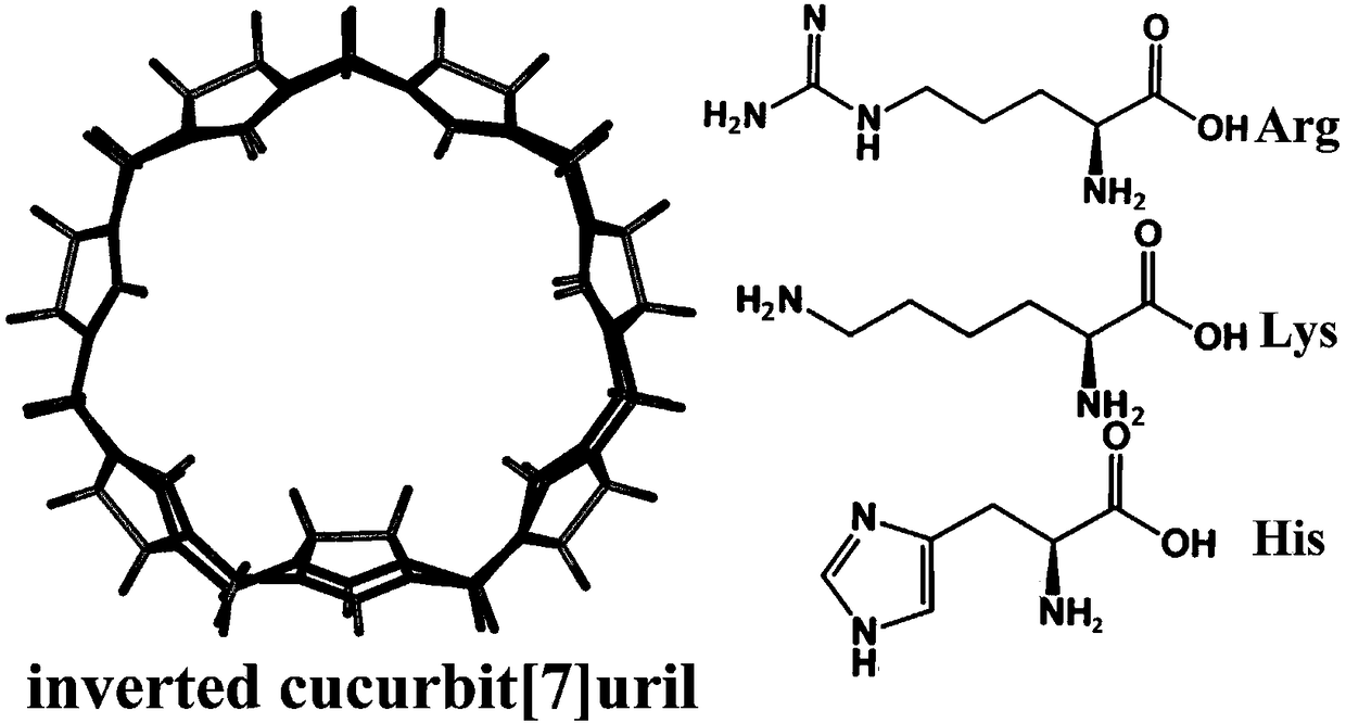 Application of a trans seven-membered melon ring iq[7]