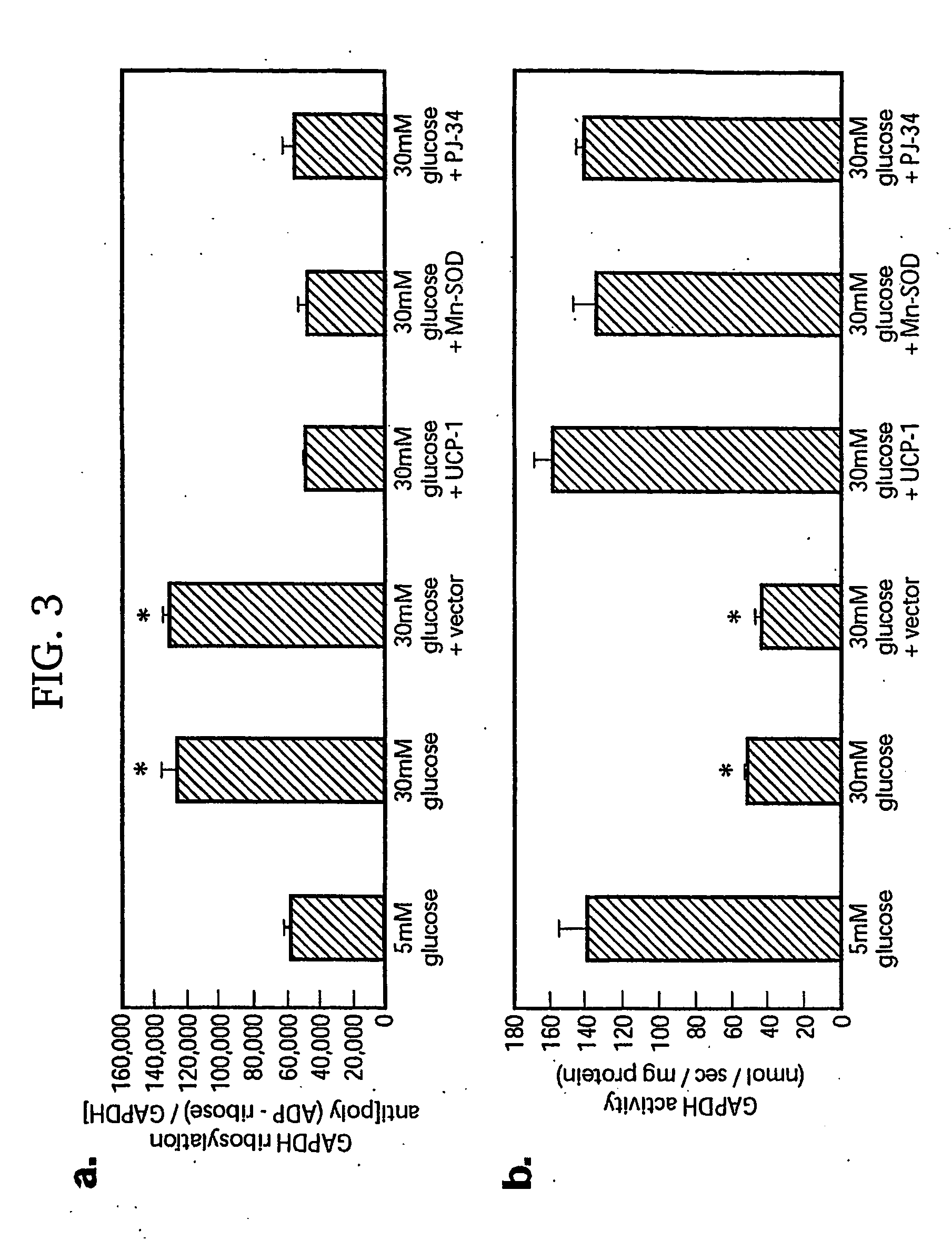 Use of Parp Inhibitors for Prevention and Treatment of Diabetic and Insulin Resistance Complications